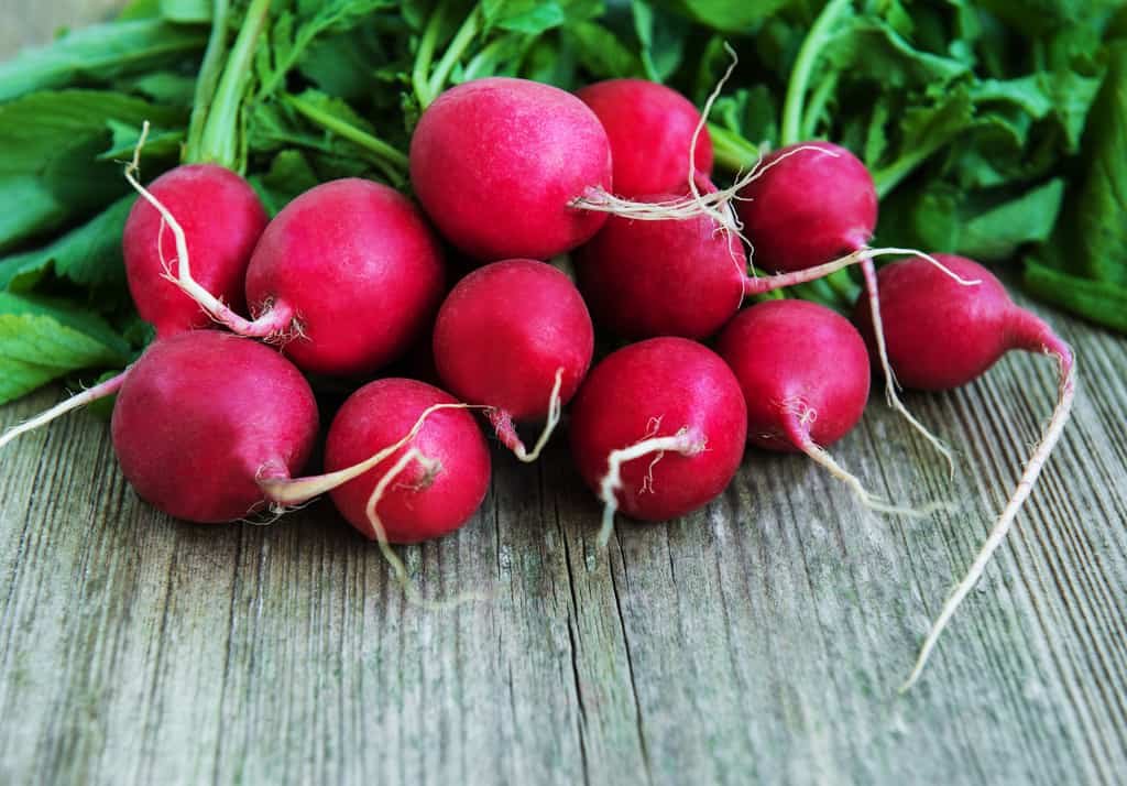 radish low calorie for weight loss